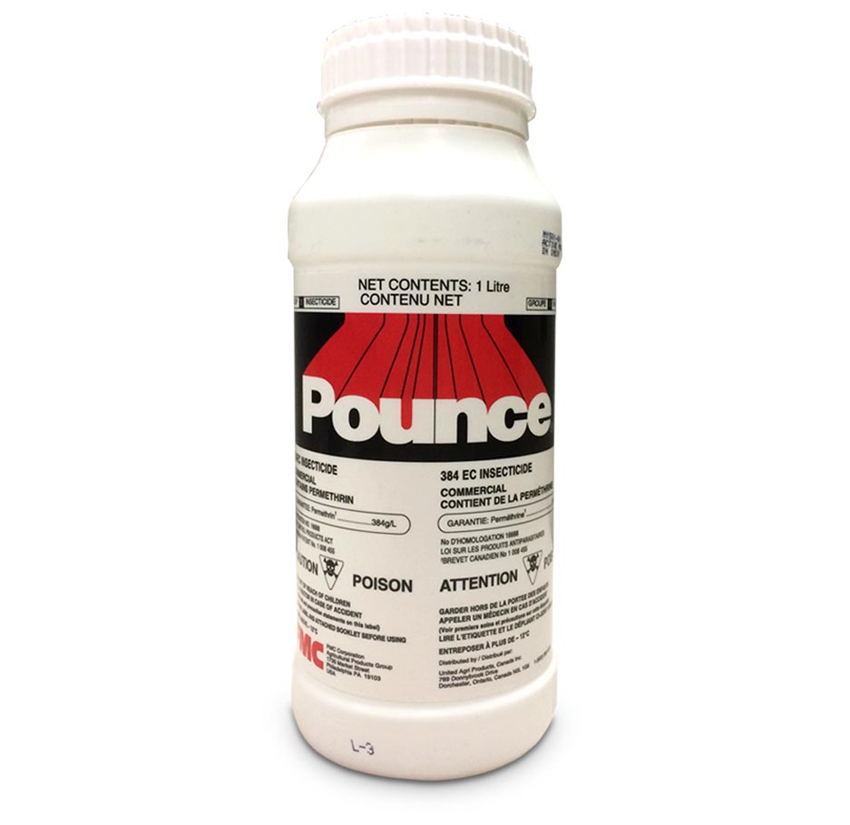 Pounce 384EC Insecticide - Livestock and Premise Insecticide