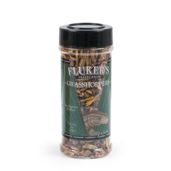 Freeze Dried Insects