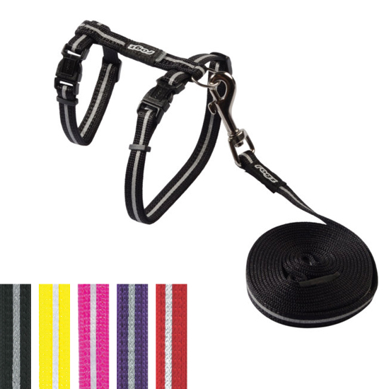 AlleyCat Classic Harness & Lead Set