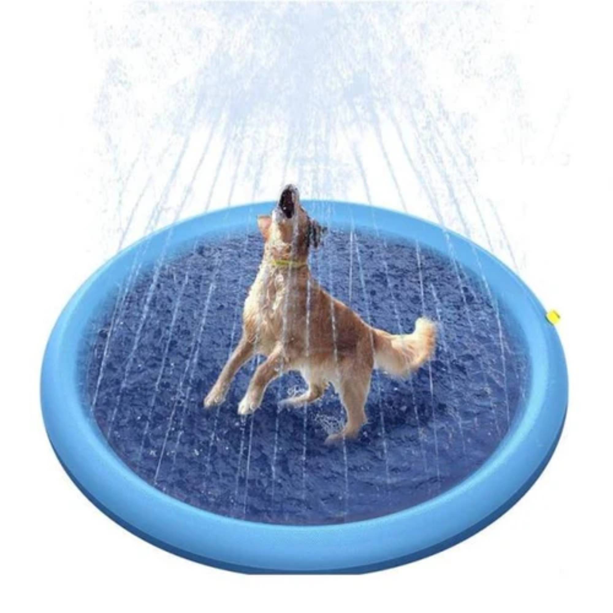 Pet Pool - Splash & Spray
