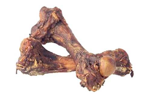 Femur Bone