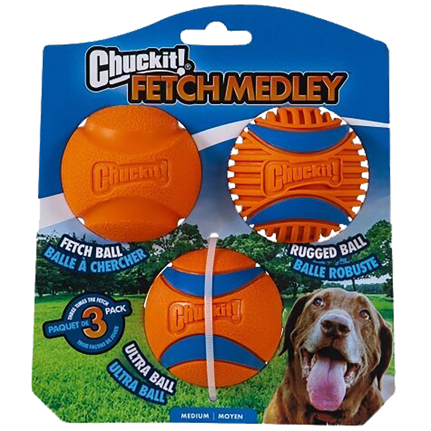 Fetch Medley