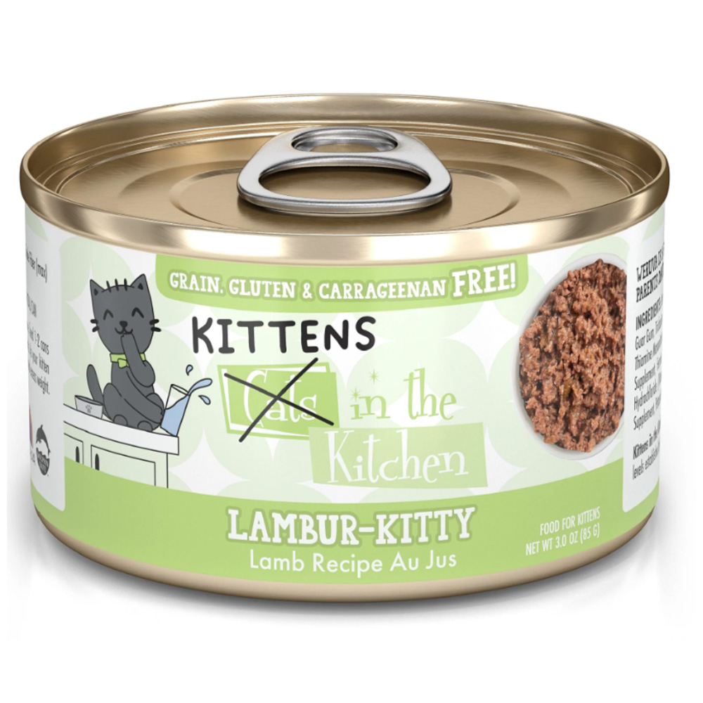 KIK Kitten Lambur-Kitty