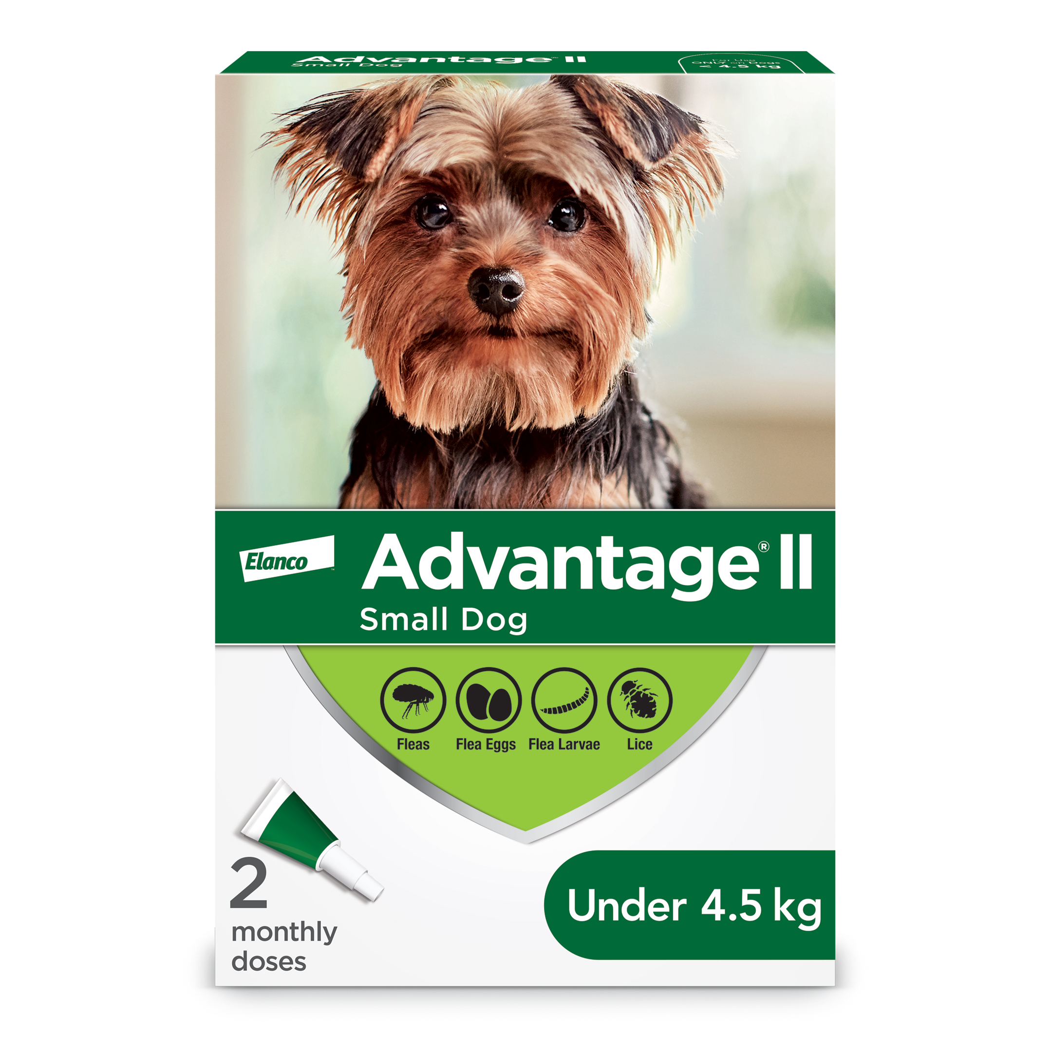 Advantage II - Dog