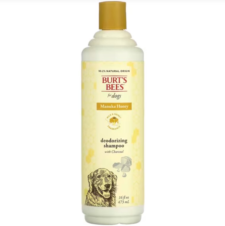 Burt’s Bees Manuka Honey Deodorizing Shampoo with Charcoal 16oz