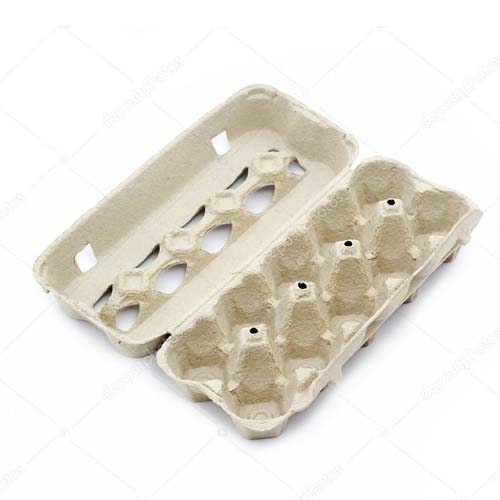 Egg Carton - Pulp