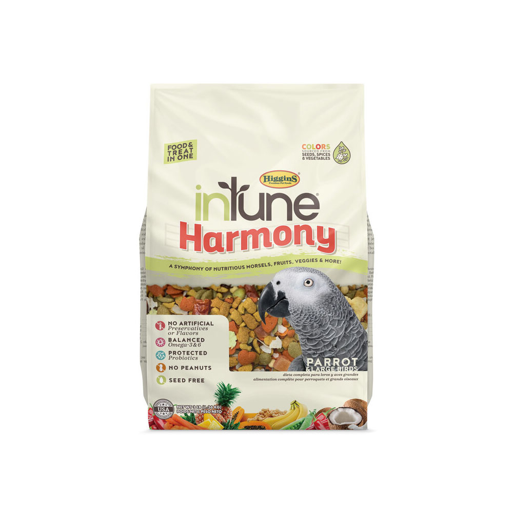 InTune Harmony - Parrot - Food