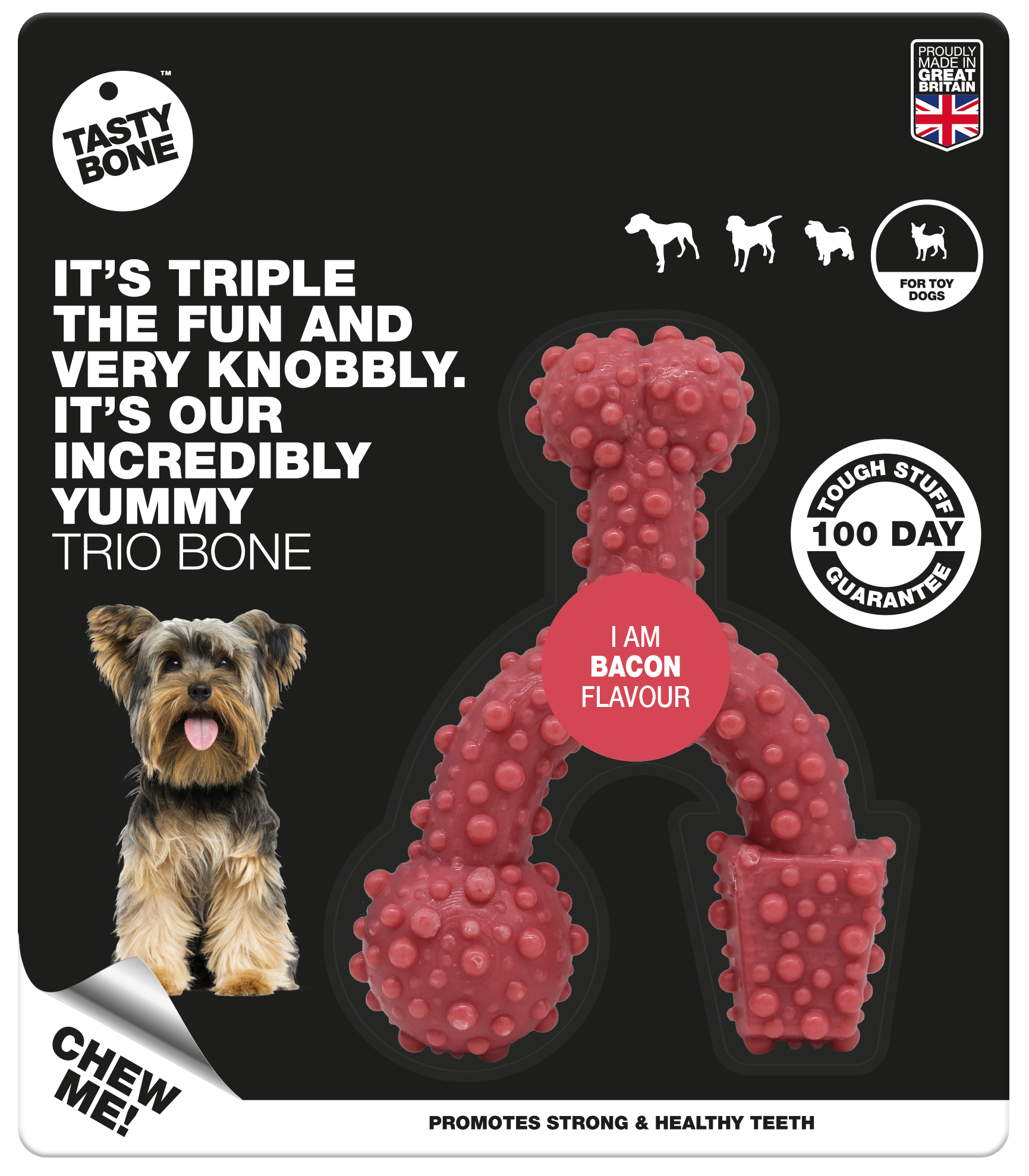 Toy Trio Bone Nylon Bacon