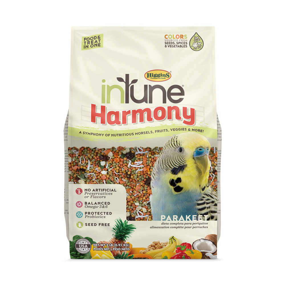 InTune Harmony - Parakeet - Food