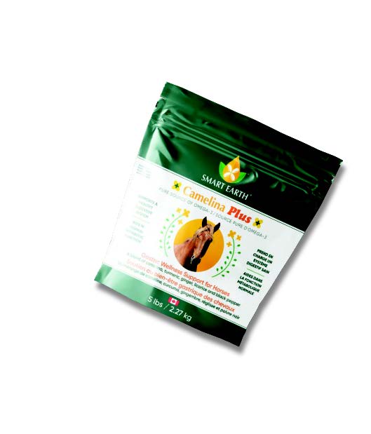 Camelina Plus Gastric Wellness