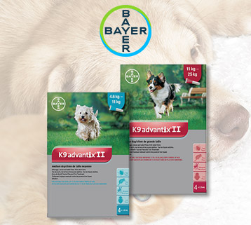 Bayer Flea & Tick