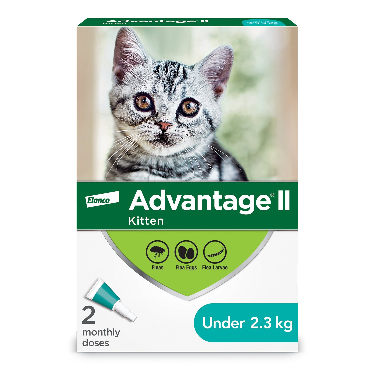 Advantage II - Cat