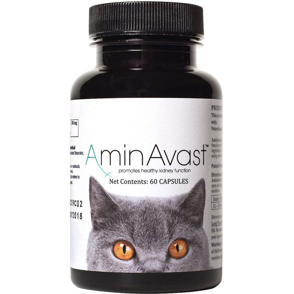 AminAvast Kidney Support for Cats (60 capsules)