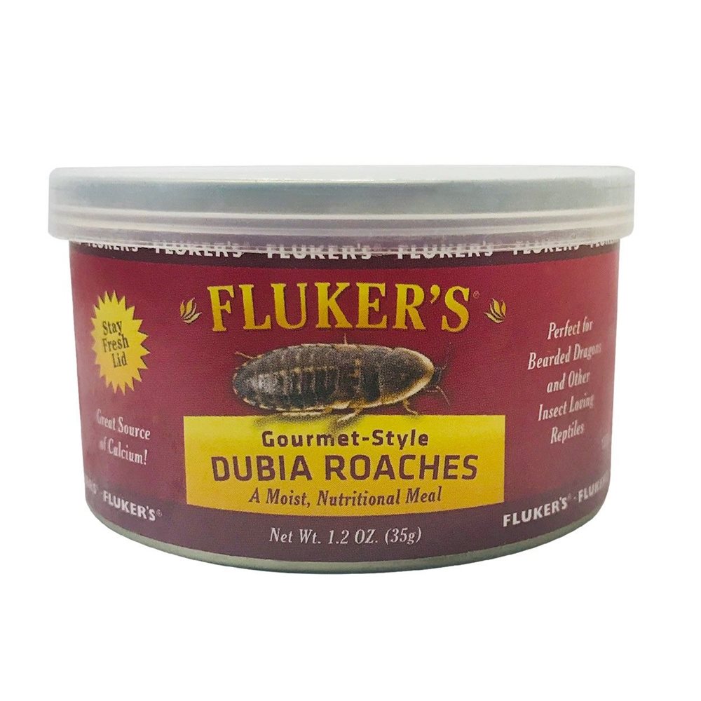 Gourmet-Style Dubia Roaches - Canned