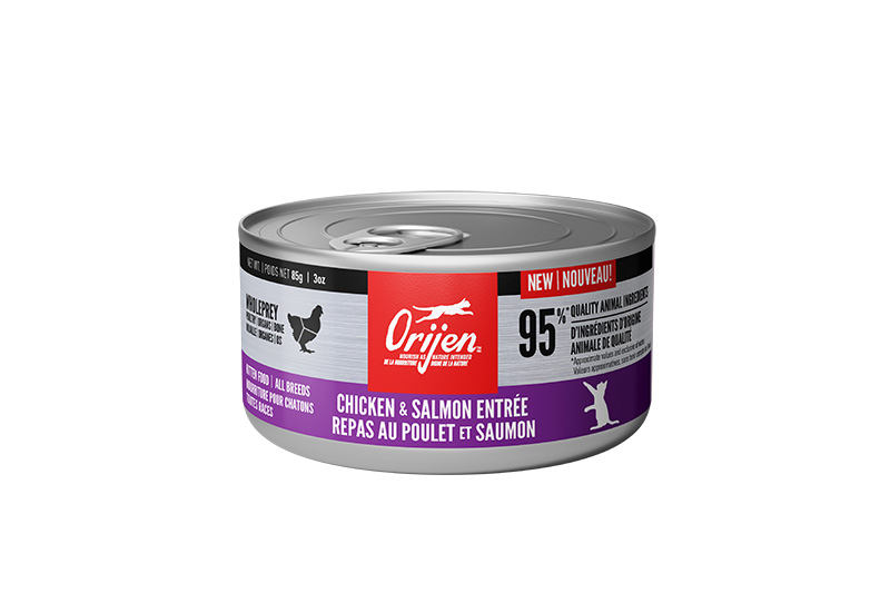 ORIJEN Wet Food - Kitten - Chicken & Salmon Entree