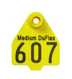 Medium Tag Complete
