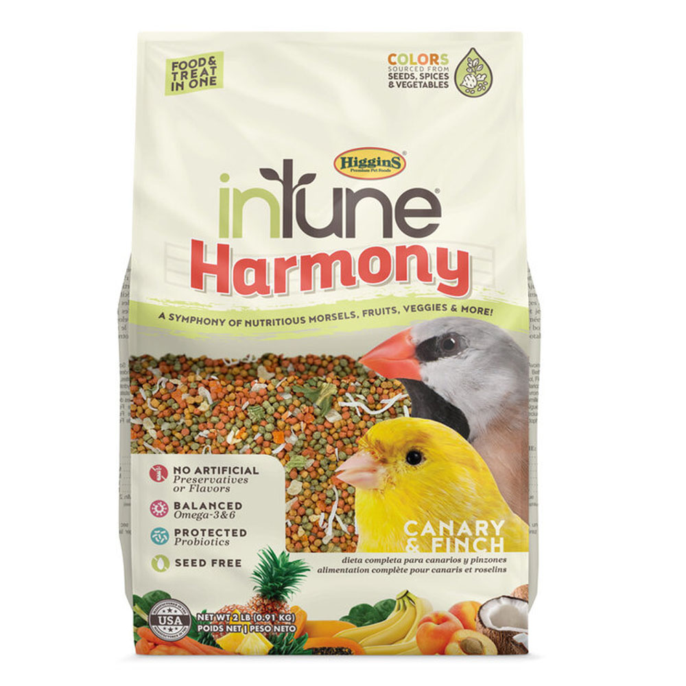 InTune Harmony -Canary & Finch - Food