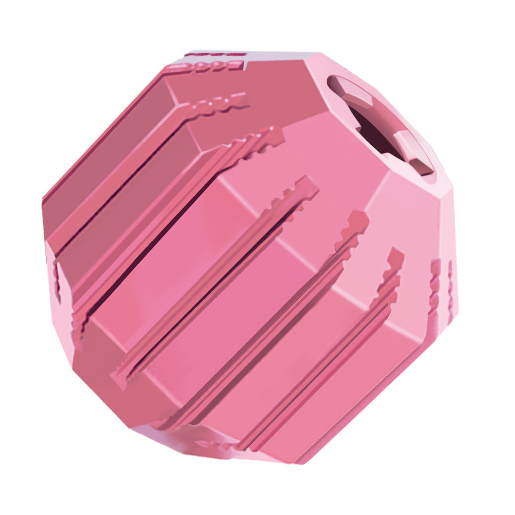 Puppy Activity Ball