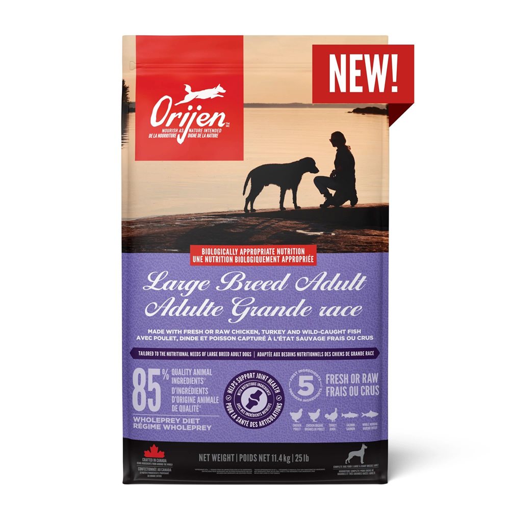 Chien Adulte Grande Race