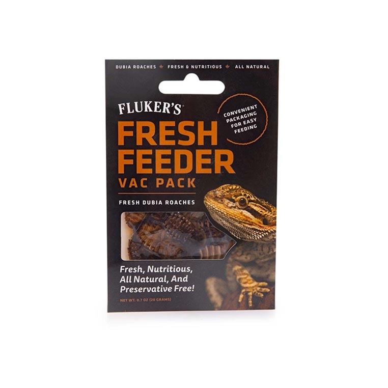 Fresh Feeder Vac Pack Dubia Roach