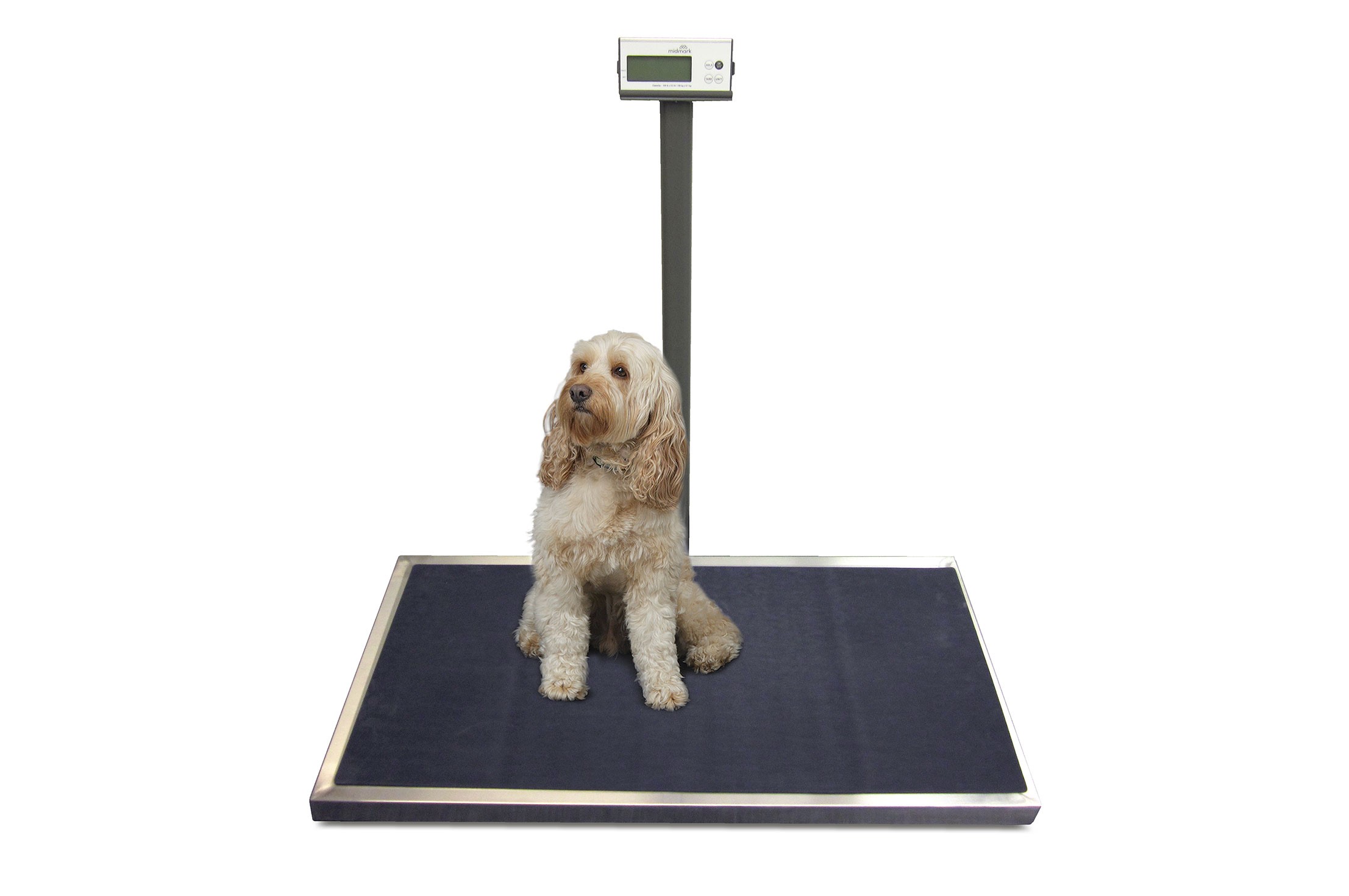 Midmark Platform Scale