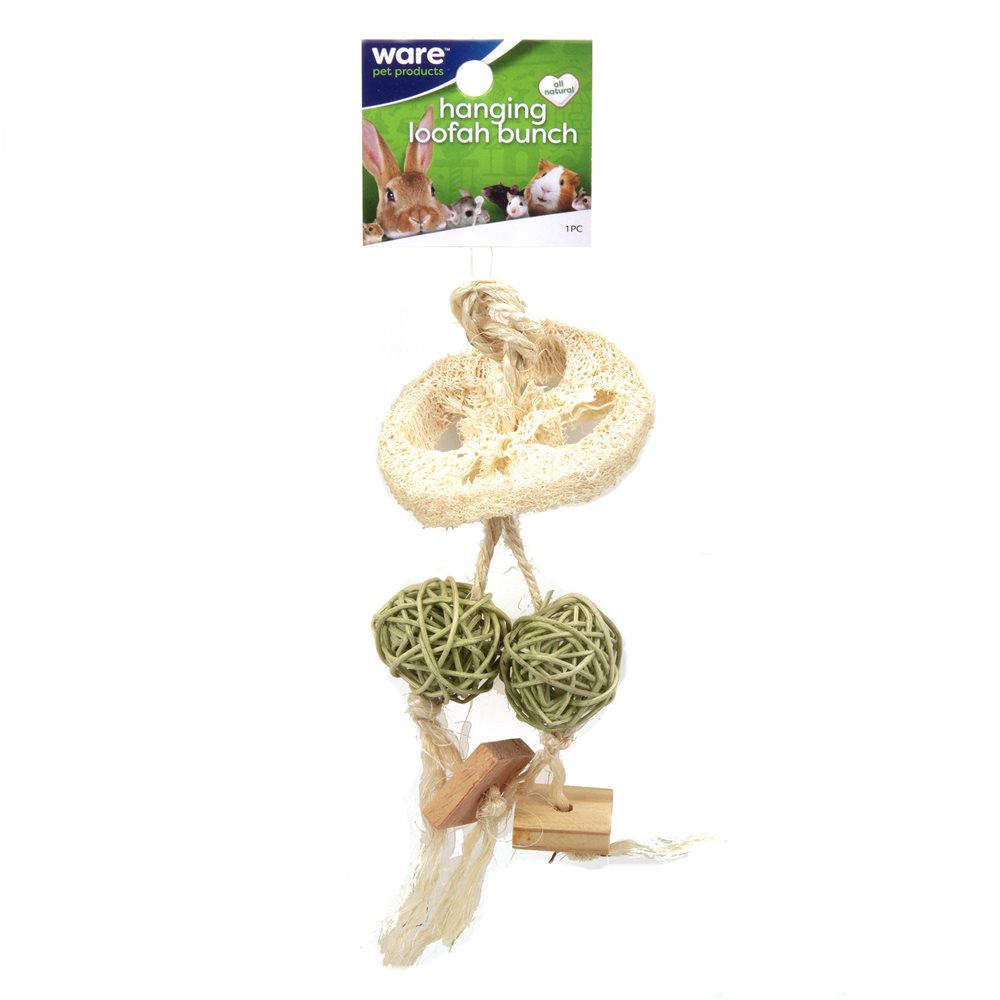 Loofah Bunch - Hanging