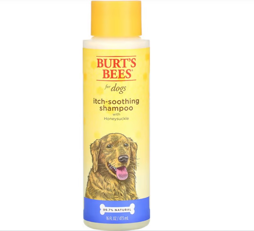 Burt’s Bees Manuka Honey Itch Soothing Shampoo with Chamomile