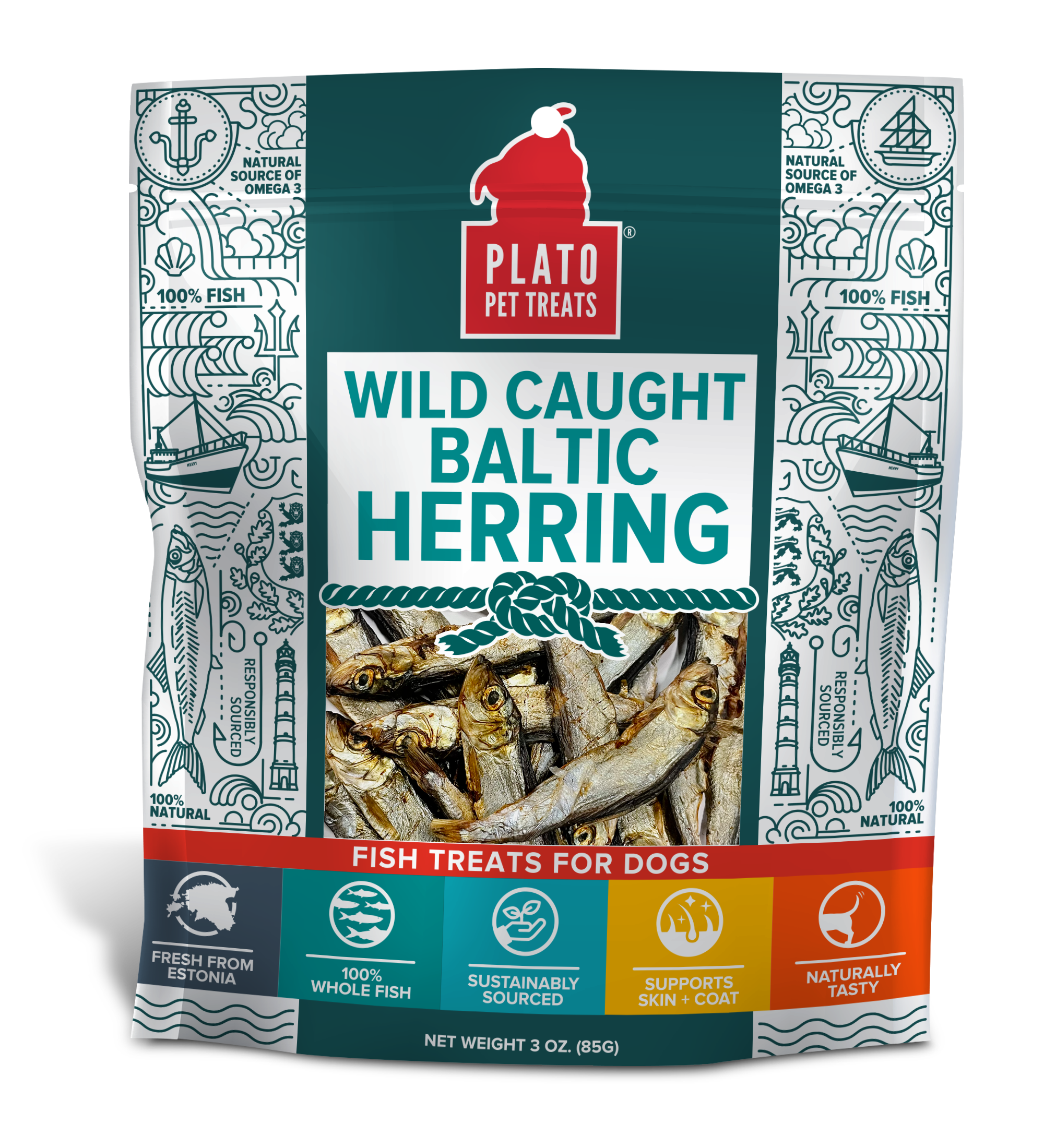 Baltic Herring