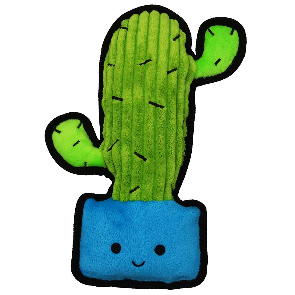 Easy Grab - Cactus