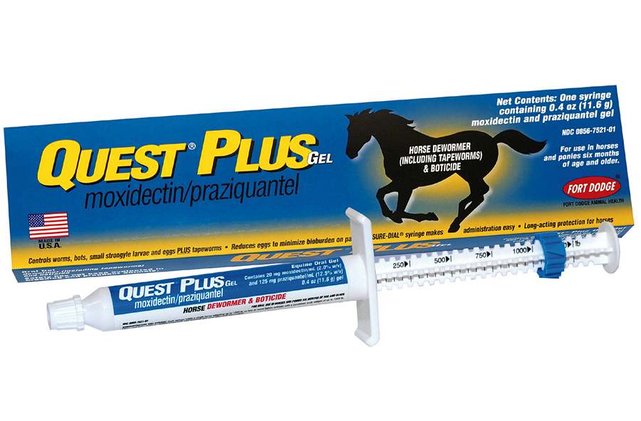 Quest Horse Wormer Gel Paste Equine Moxidectin *24 Tubes* Internal Parasites