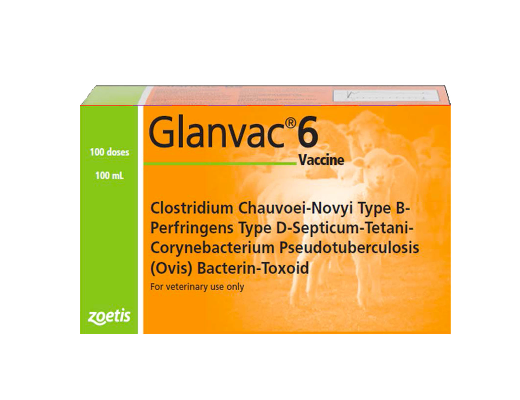 Glanvac 6