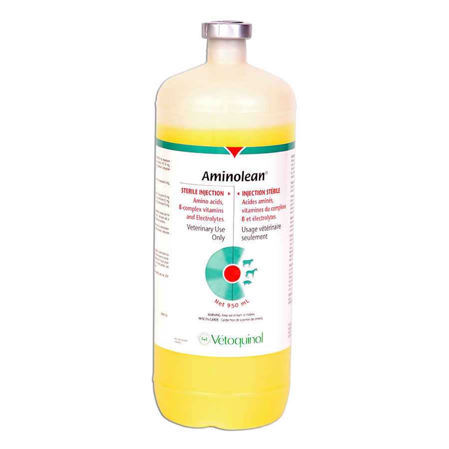 Kane Veterinary Supply - Aminolean