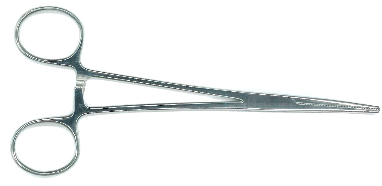 Forceps - Curved