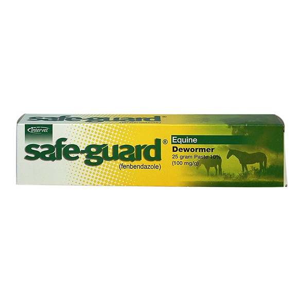 Safe-Guard  Paste