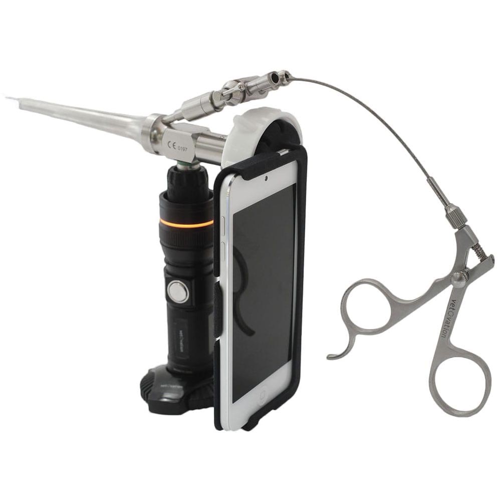 Video Otoscope - iPod Touch