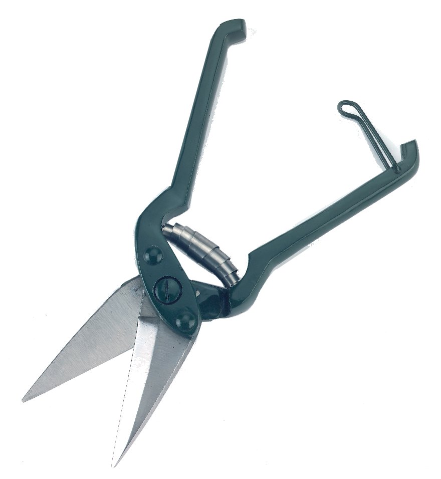 Foot Rot Shears - Regular Blade