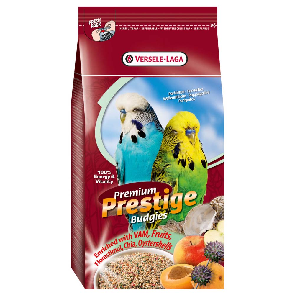 Premium Seed - Budgie