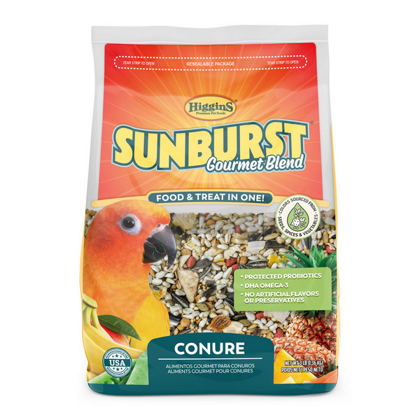 Sunburst Conure