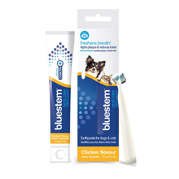 Bluestem Oral Care - Toothbrush & Toothpaste Combo