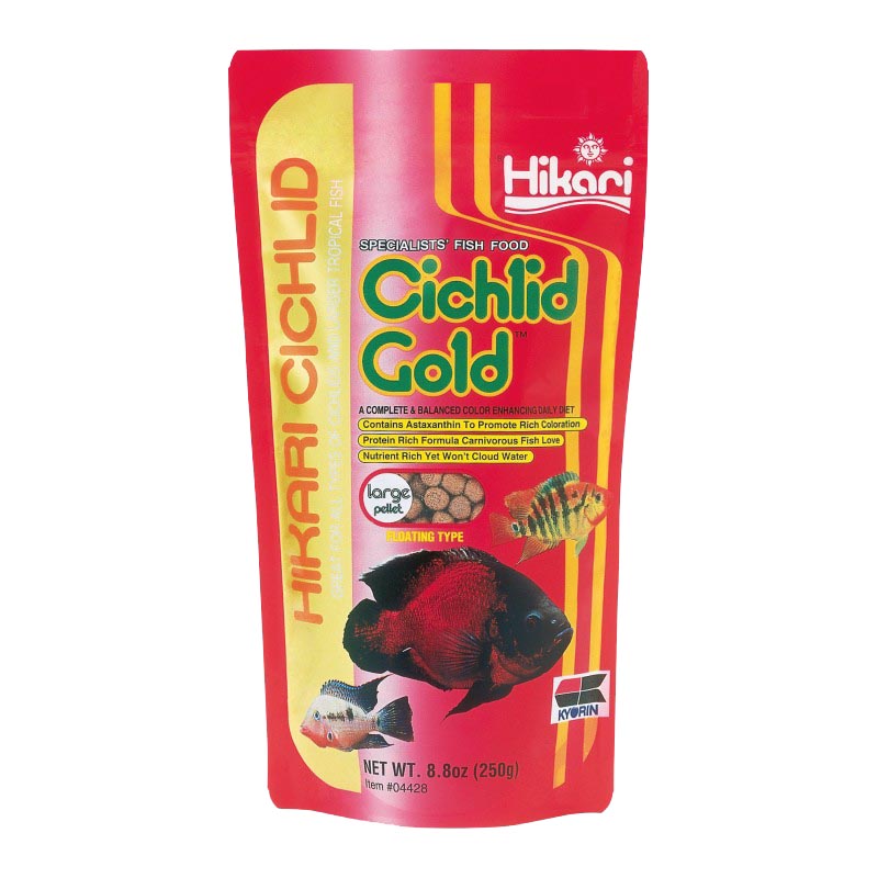 Cichlid Gold