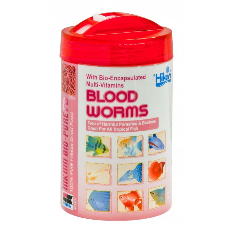 Freeze Dried Blood Worms