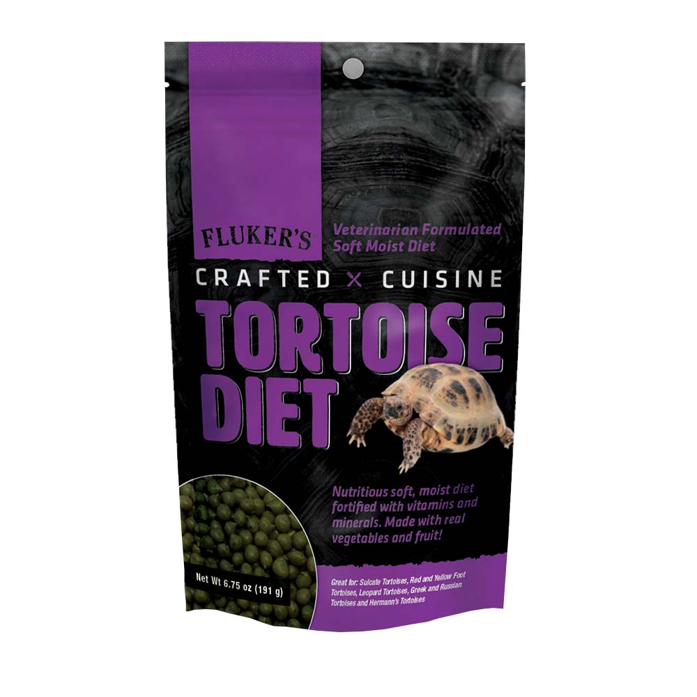 Crafted Cuisine - Tortoise