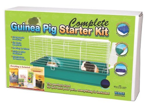 Home - Home Sweet Home - Guinea Pig Starter Kit