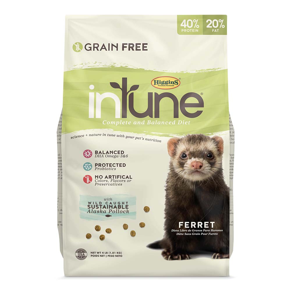 inTune Ferret Food